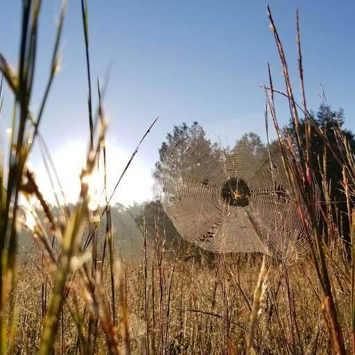 Battle Site «Spotsylvania Court House Battlefield», reviews and photos, 9550 Grant Dr, Spotsylvania, VA 22553, USA