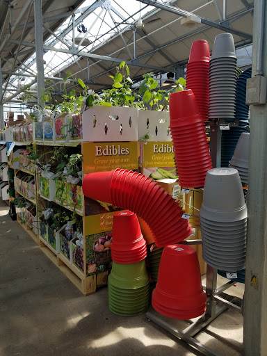 Home Improvement Store «The Home Depot», reviews and photos, 7200 S Cicero Ave, Bedford Park, IL 60638, USA