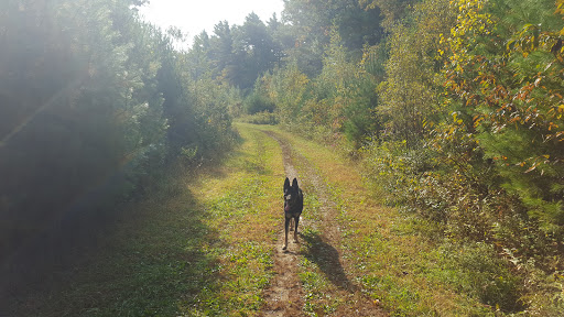 State Park «Nasketucket Bay State Reservation», reviews and photos, Brandt Island Rd,, Mattapoisett, MA 02739, USA