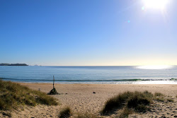 Foto von Opoutere Beach mit sehr sauber Sauberkeitsgrad