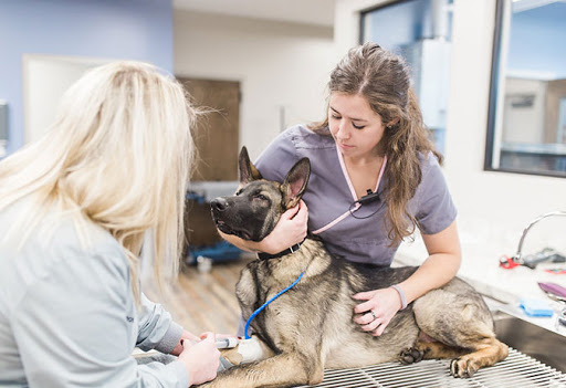 Skipworth Veterinary Clinic image
