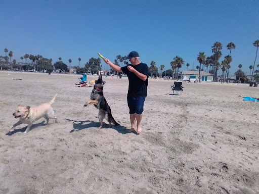 Dog park Long Beach