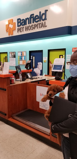 Pet Supply Store «PetSmart», reviews and photos, 7663 Arundel Mills Blvd, Hanover, MD 21076, USA