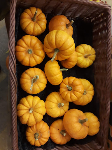 Grocery Store «Food Lion», reviews and photos, 1607 Pulaski Hwy, Bear, DE 19701, USA