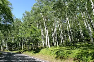 平庭高原 (平庭峠) image