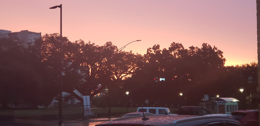 Book Store «River Oaks Book Store», reviews and photos, 3270 Westheimer Rd, Houston, TX 77098, USA