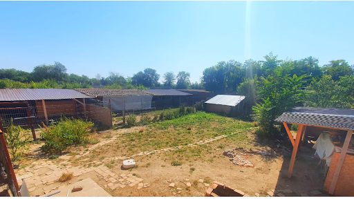 LovedDogs e.V. unter Neuburg am Rhein, 