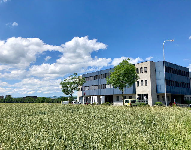 FOUR-FOREST Bilingual International School Zug