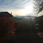 Photo n°5 de l'avis de Tentis.a fait le 24/12/2023 à 08:16 sur le  Agr. S. Caterina di Cretoni Maria à Montemartano