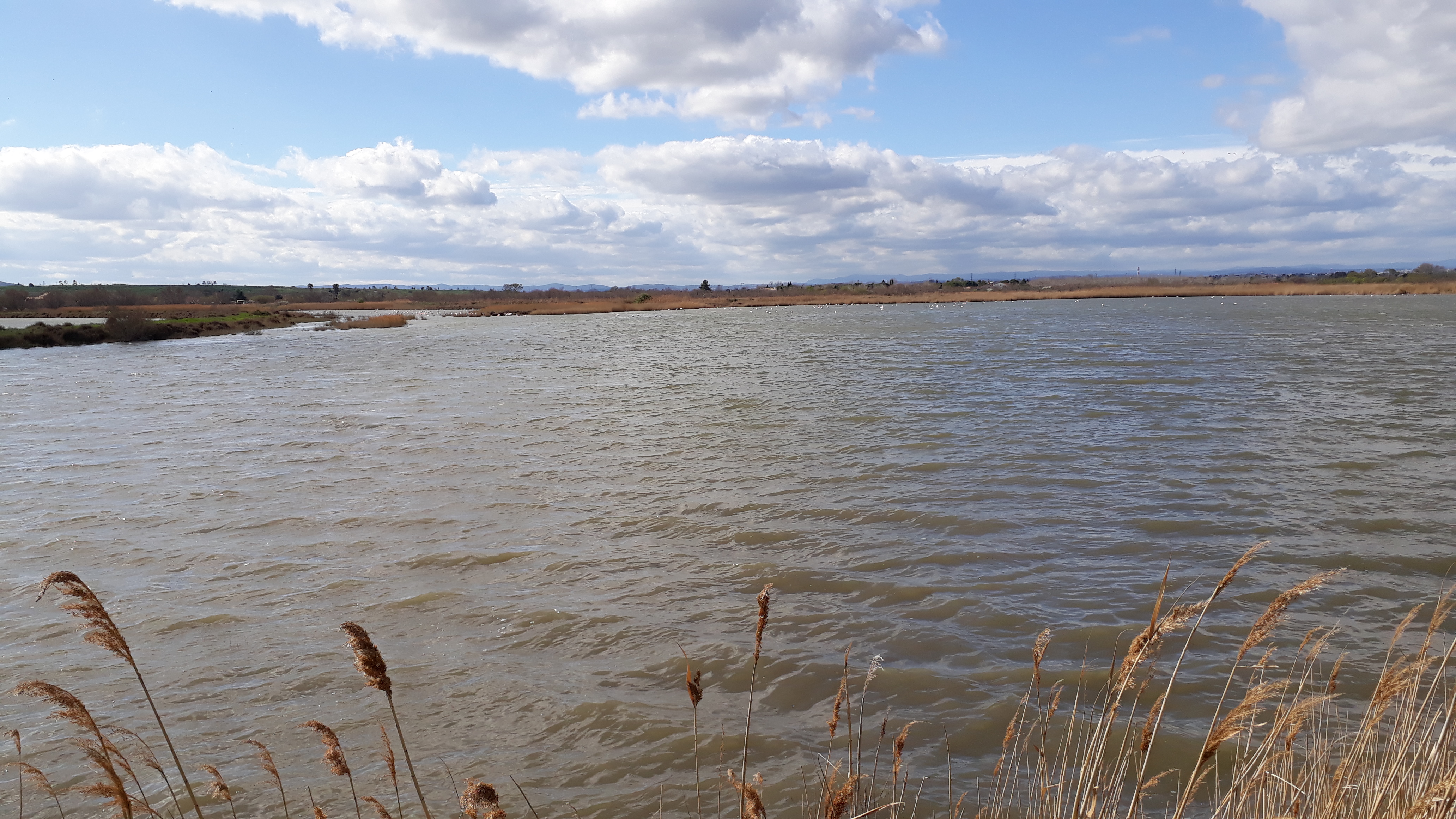 Photo n° 5 de l'avis de Cassandra.i fait le 17/03/2019 à 16:00