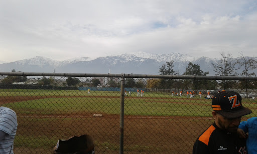 Campos de Beisbol