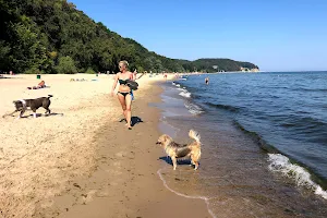 Psia Plaża image