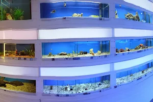 Fish Tank image