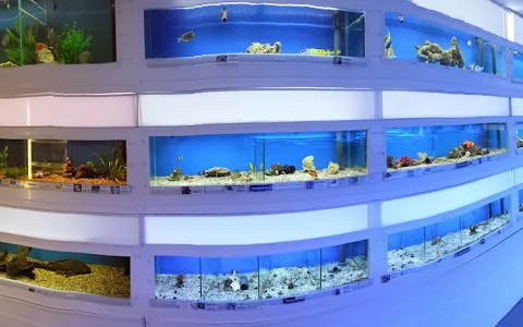 Fish Tank image