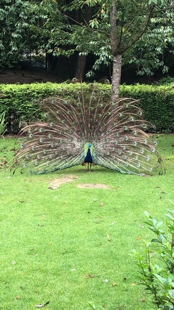Photo n° 1 de l'avis de Caroline.e fait le 20/08/2021 à 15:40