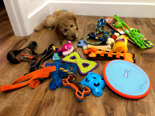 Furniture Store «HomeGoods», reviews and photos, 13580 SW 120th St, Miami, FL 33186, USA