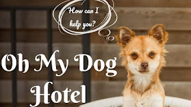 Oh My Dog Hotel