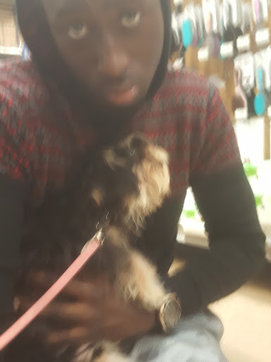 Pet Supply Store «Petco Animal Supplies», reviews and photos, 545 W Prien Lake Rd, Lake Charles, LA 70601, USA