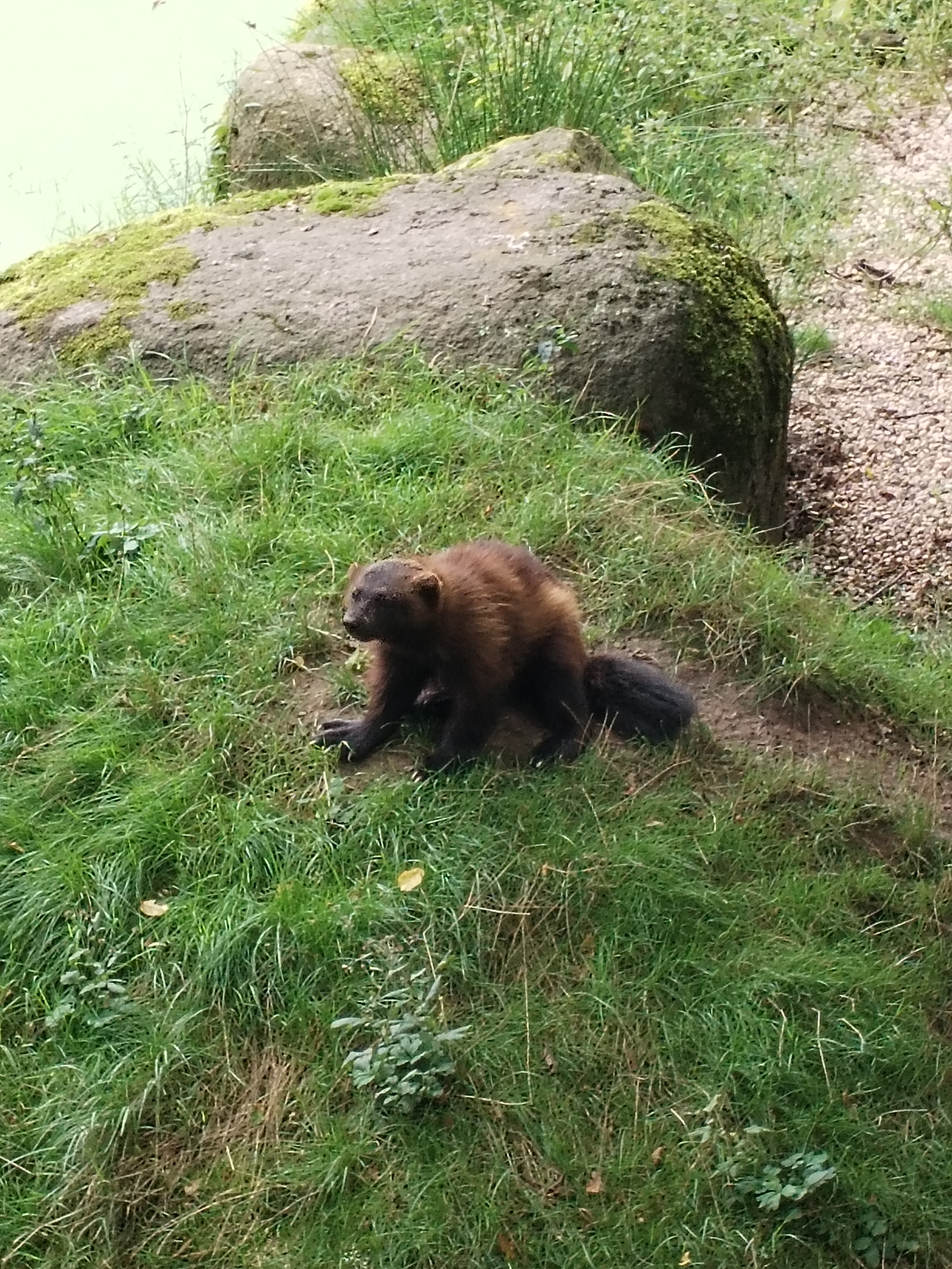 Photo n° 2 de l'avis de DE.A fait le 01/09/2023 à 14:02