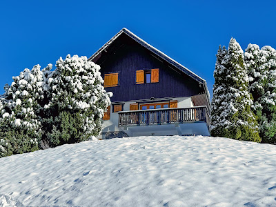 Chalet Ma Cambuse Super Besse à Besse-et-Saint-Anastaise