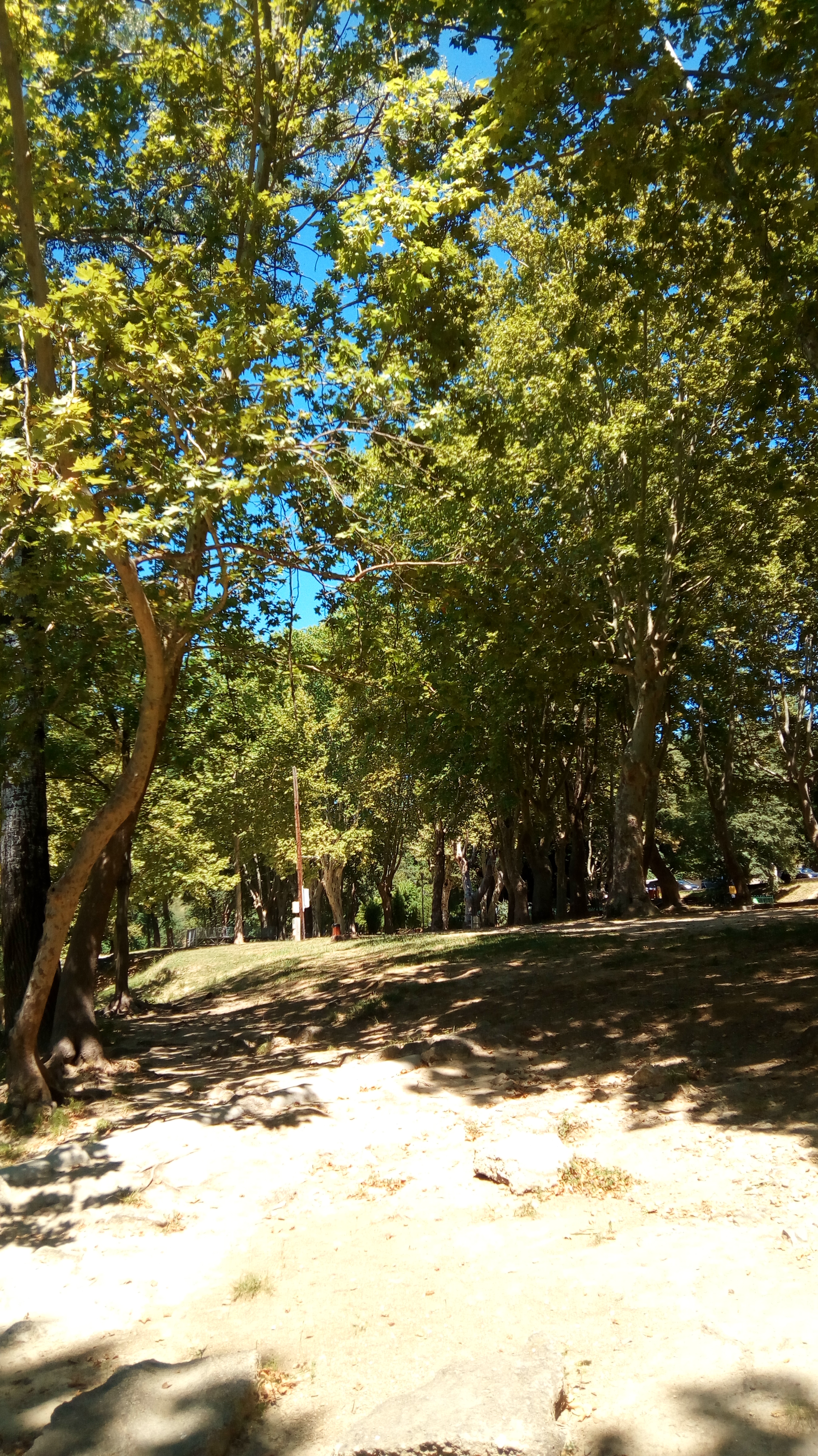 Photo n° 7 de l'avis de balades. fait le 11/07/2018 à 13:22