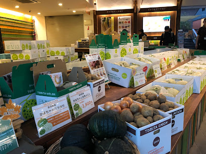 とみたメロンハウス