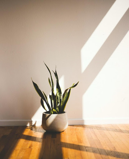 House Cleaning Service «Wave House Cleaning», reviews and photos, 3923 N 30th Ave, Phoenix, AZ 85017, USA