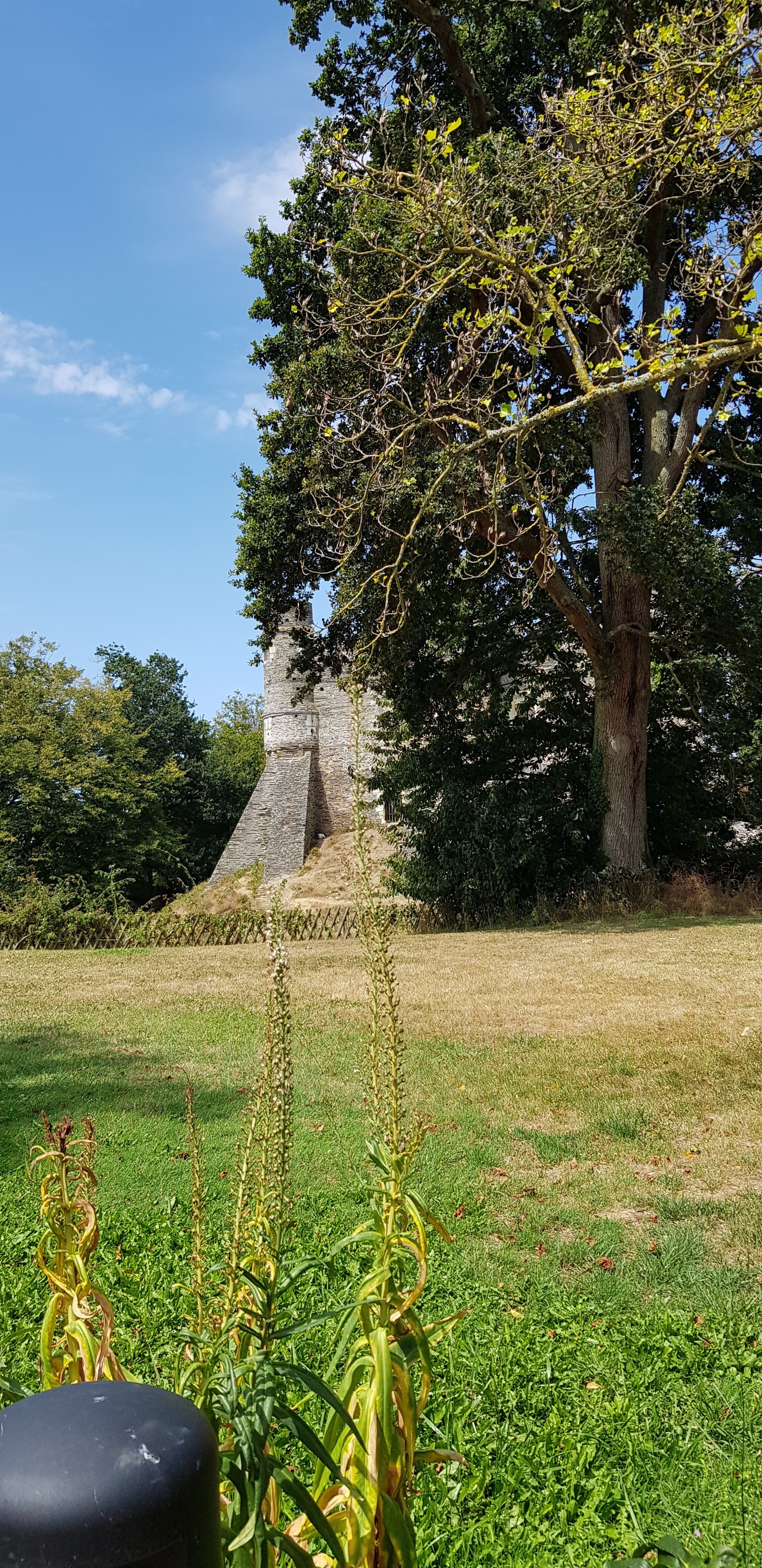 Photo n° 2 de l'avis de Evelyne.t fait le 16/08/2020 à 08:36