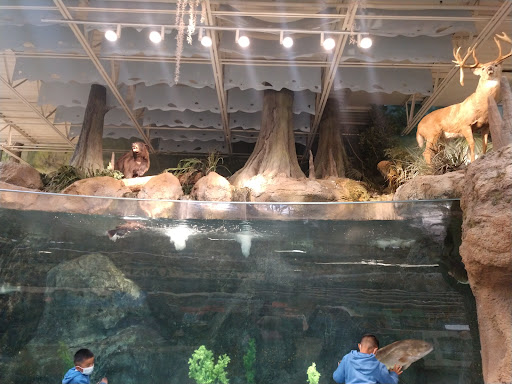 Sporting Goods Store «Bass Pro Shops», reviews and photos, 750 Bass Pro Dr NE, Palm Bay, FL 32905, USA