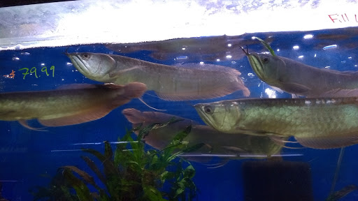 Shopping Mall «Chester Shopping Mall», reviews and photos, 23 W Main St, Chester, NJ 07930, USA