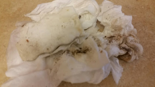 House Cleaning Service «MOLLY MAID of Massapequa», reviews and photos, 5650 Merrick Rd, Massapequa, NY 11758, USA