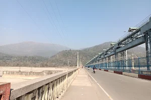 Yamuna Bridge image