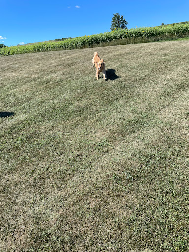 Winery «Sheldrake Point Winery», reviews and photos, 7448 County Rd 153, Ovid, NY 14521, USA