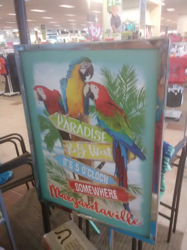 Department Store «Bealls Department Store», reviews and photos, 360 Cbl Dr, St Augustine, FL 32086, USA