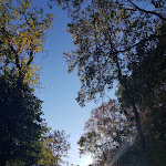 Photo n°1 de l'avis de Dagmar.o fait le 14/10/2018 à 16:14 sur le  Burgschänke Starkenburg à Heppenheim