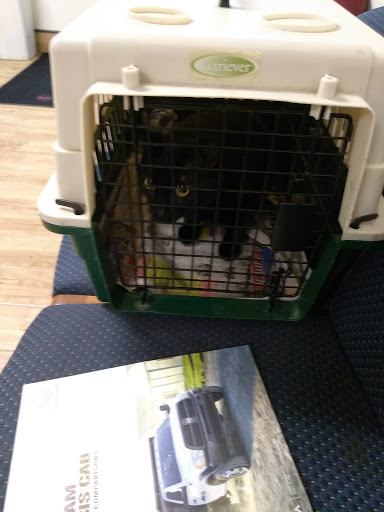 Dodge Dealer «Benny Boyd Lampasas Chrysler Dodge Jeep Ram», reviews and photos, 601 N Key Ave, Lampasas, TX 76550, USA