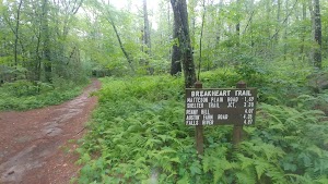 Ben Utter Trailhead - photo 20