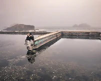 Sydney Alex Photography - Car repair in , San Francisco - Rated 5.0/5