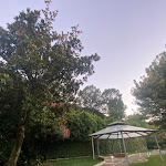 Photo n°14 de l'avis de possder.o fait le 03/08/2023 à 10:33 sur le  La Favola Antica à Petilia Policastro