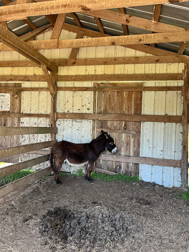 Tourist Attraction «Mitcham Farm», reviews and photos, 797 W Macedonia Church Rd, Oxford, GA 30054, USA