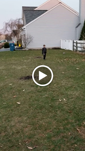 Grocery Store «Giant Food Stores», reviews and photos, 1465 W Broad St, Quakertown, PA 18951, USA