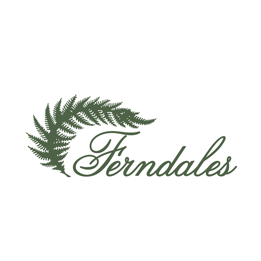 Bridal Shop «Ferndales Bridal», reviews and photos, 368 S Tustin St, Orange, CA 92866, USA