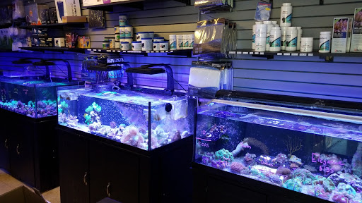 Pet Store «Aqua Pros», reviews and photos, 500 & 510 Pennsylvania Ave, Glen Ellyn, IL 60137, USA