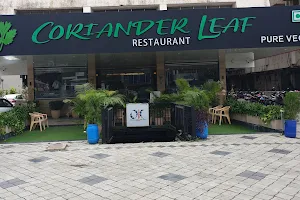Coriander Leaf Restaurant image
