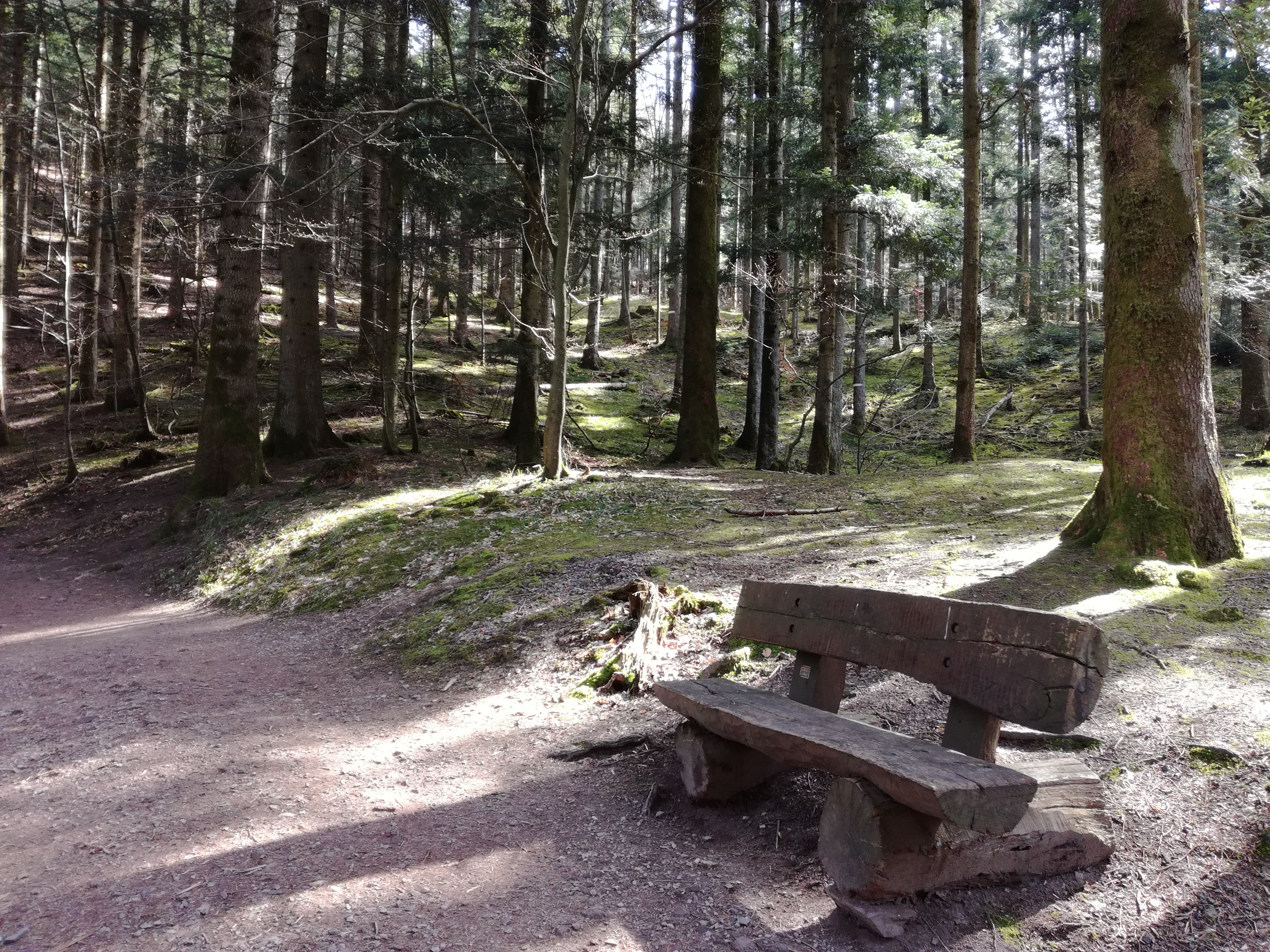 Photo n° 38 de l'avis de yann.a fait le 12/04/2018 à 05:08