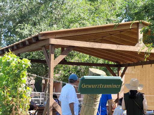 Winery «Zin Valle Vineyards», reviews and photos, 7315 Canutillo-La Union Rd, Canutillo, TX 79835, USA