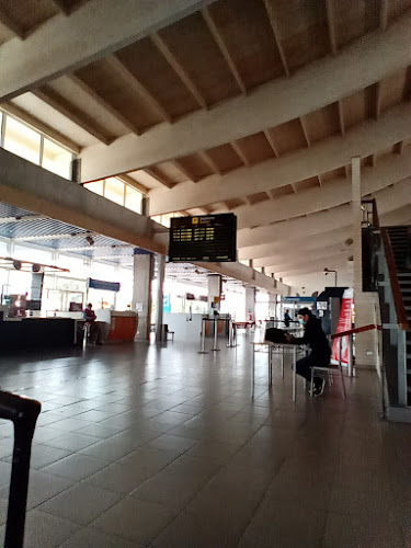 Aeropuerto Desierto de Atacama (CPO) - Otro
