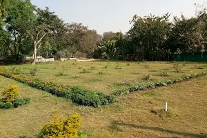 Birsa Munda Park image
