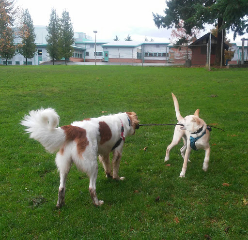 Park «Creston Park», reviews and photos, SE 44th Ave & Powell Blvd, Portland, OR 97206, USA