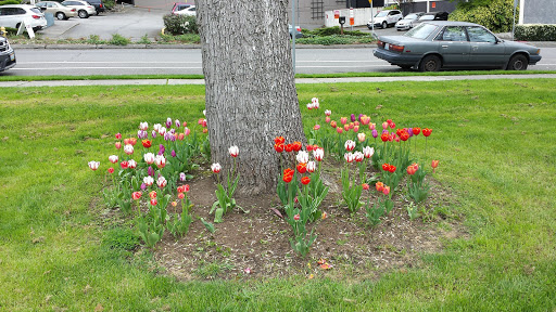 Park «Heritage Park», reviews and photos, 111 Waverly Way, Kirkland, WA 98033, USA